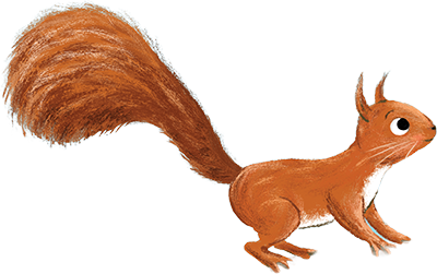 Squirrel