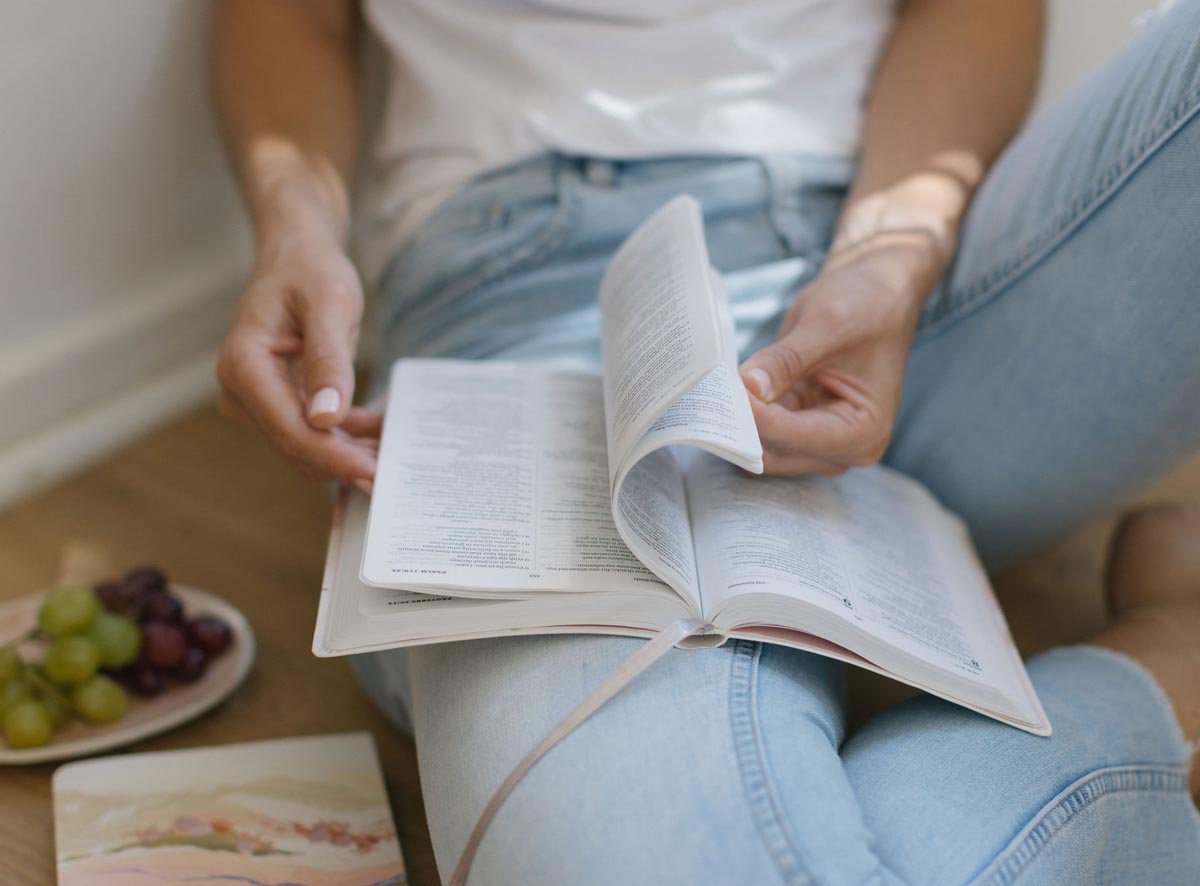Bibles Page_Intro Image